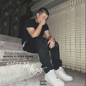 东南亚同性恋小鲜肉射精视频
