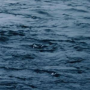 东南亚同性恋小鲜肉射精视频
